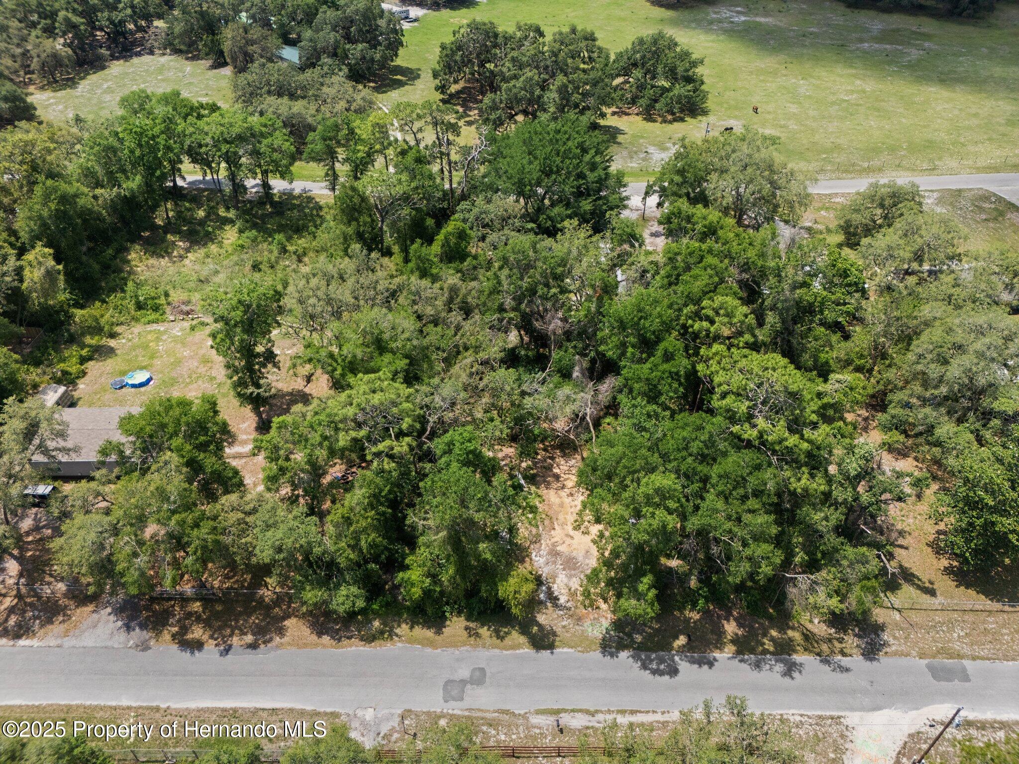 4381 County Rd 692, Webster, Florida image 3