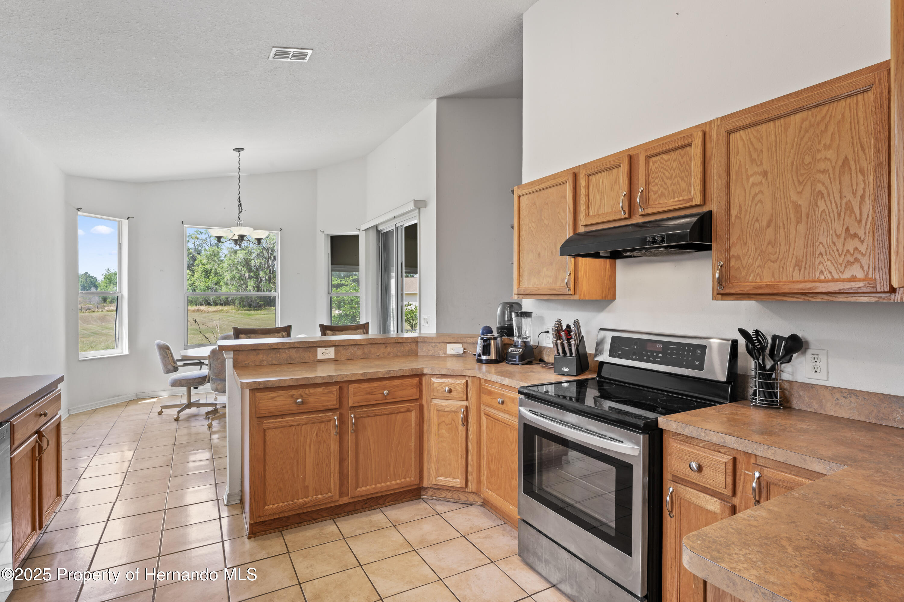 2585 E Farewell Path, Hernando, Florida image 17