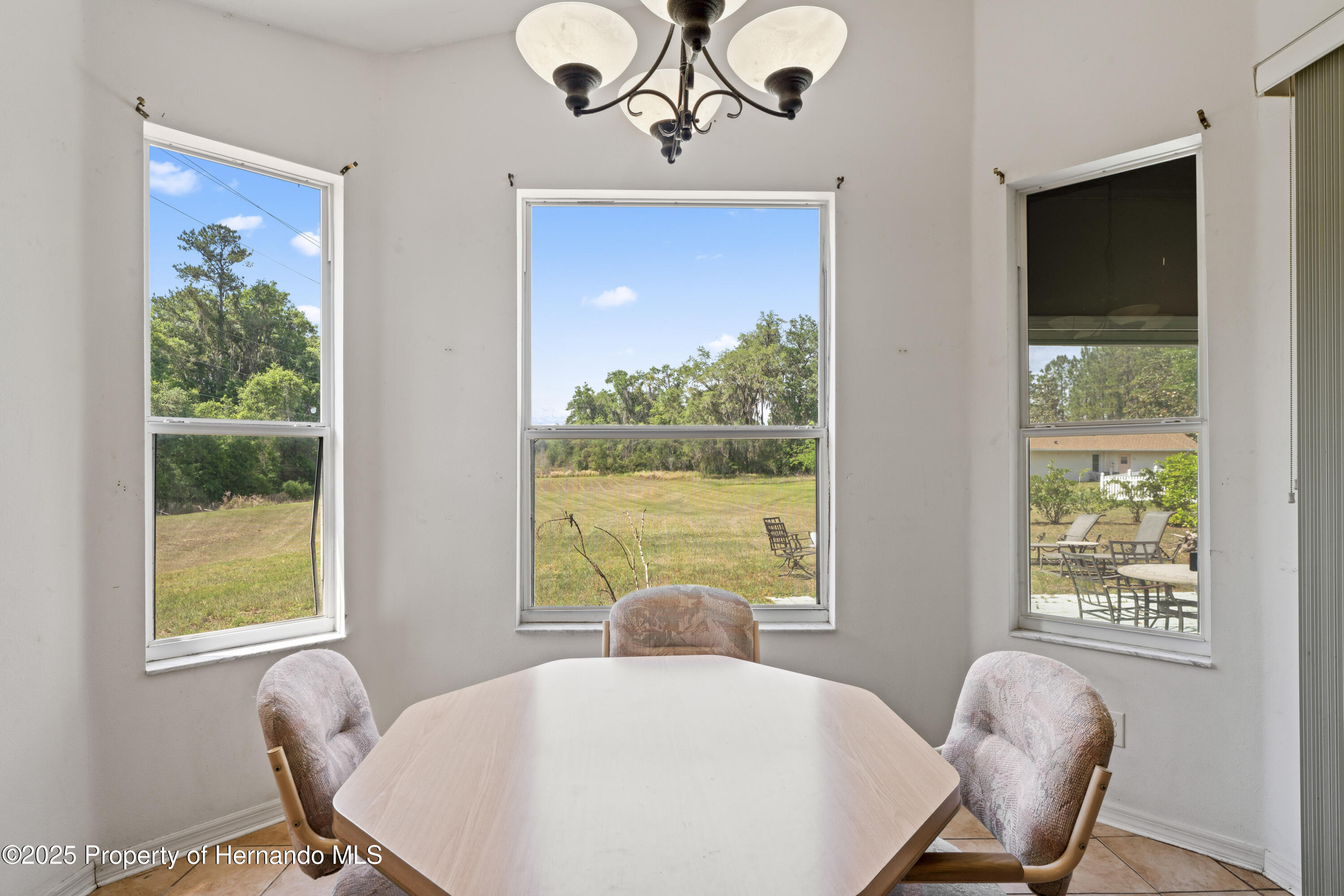 2585 E Farewell Path, Hernando, Florida image 19