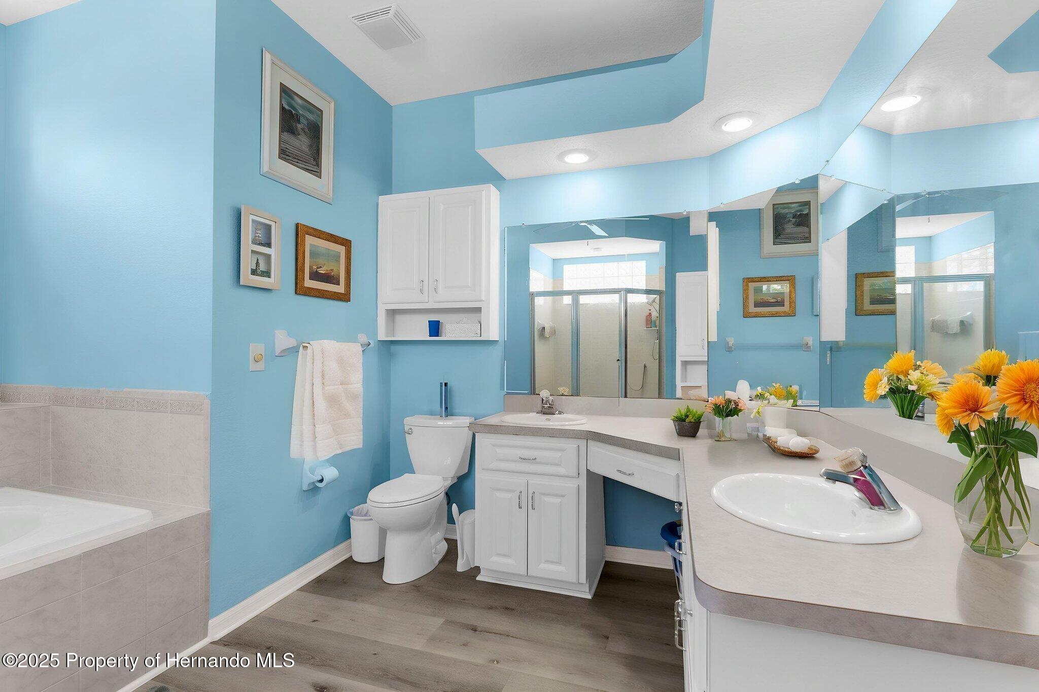 8604 Vicksburg Road, Spring Hill, Florida image 16