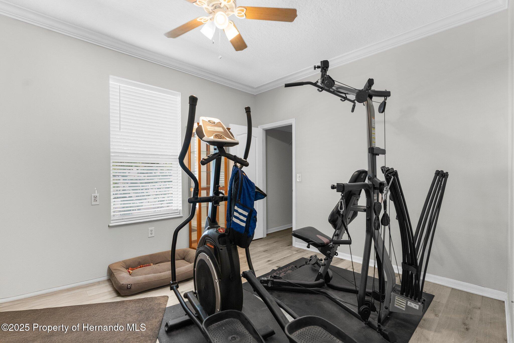 8604 Vicksburg Road, Spring Hill, Florida image 37