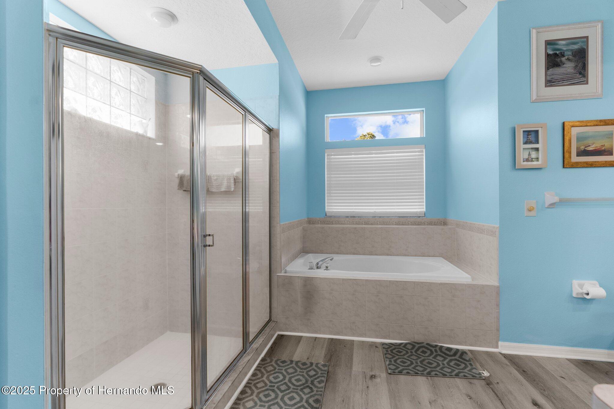 8604 Vicksburg Road, Spring Hill, Florida image 17