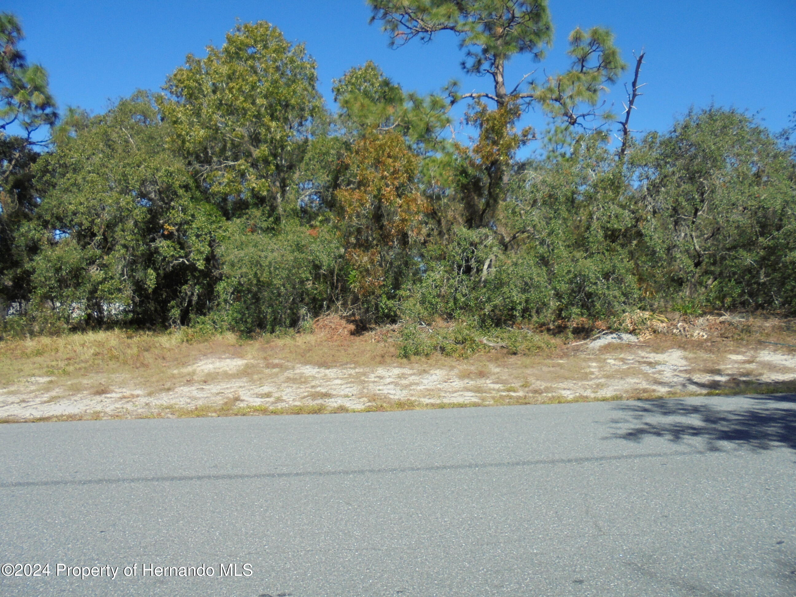 Deep Creek Drive, Spring Hill, Florida image 3