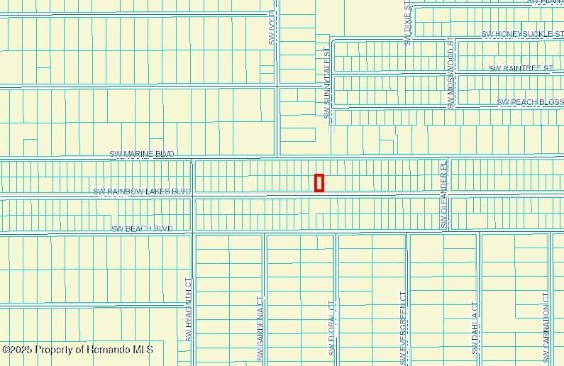2814837 Sw Rainbow Lakes Blvd, Dunnellon, Florida image 2
