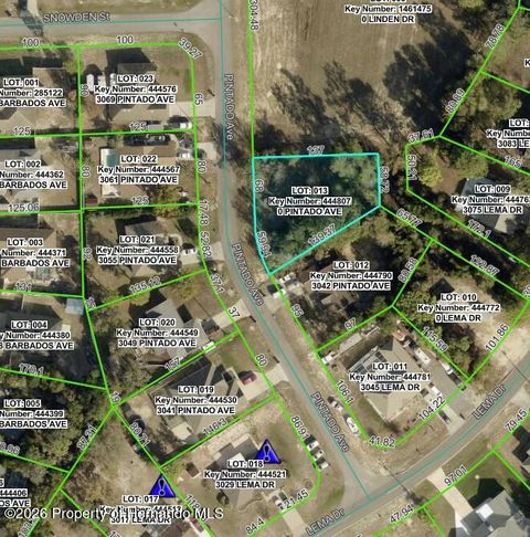 Vacant Land For Sale - 3060 Pintado Avenue<br/> Spring Hill, FL 34609