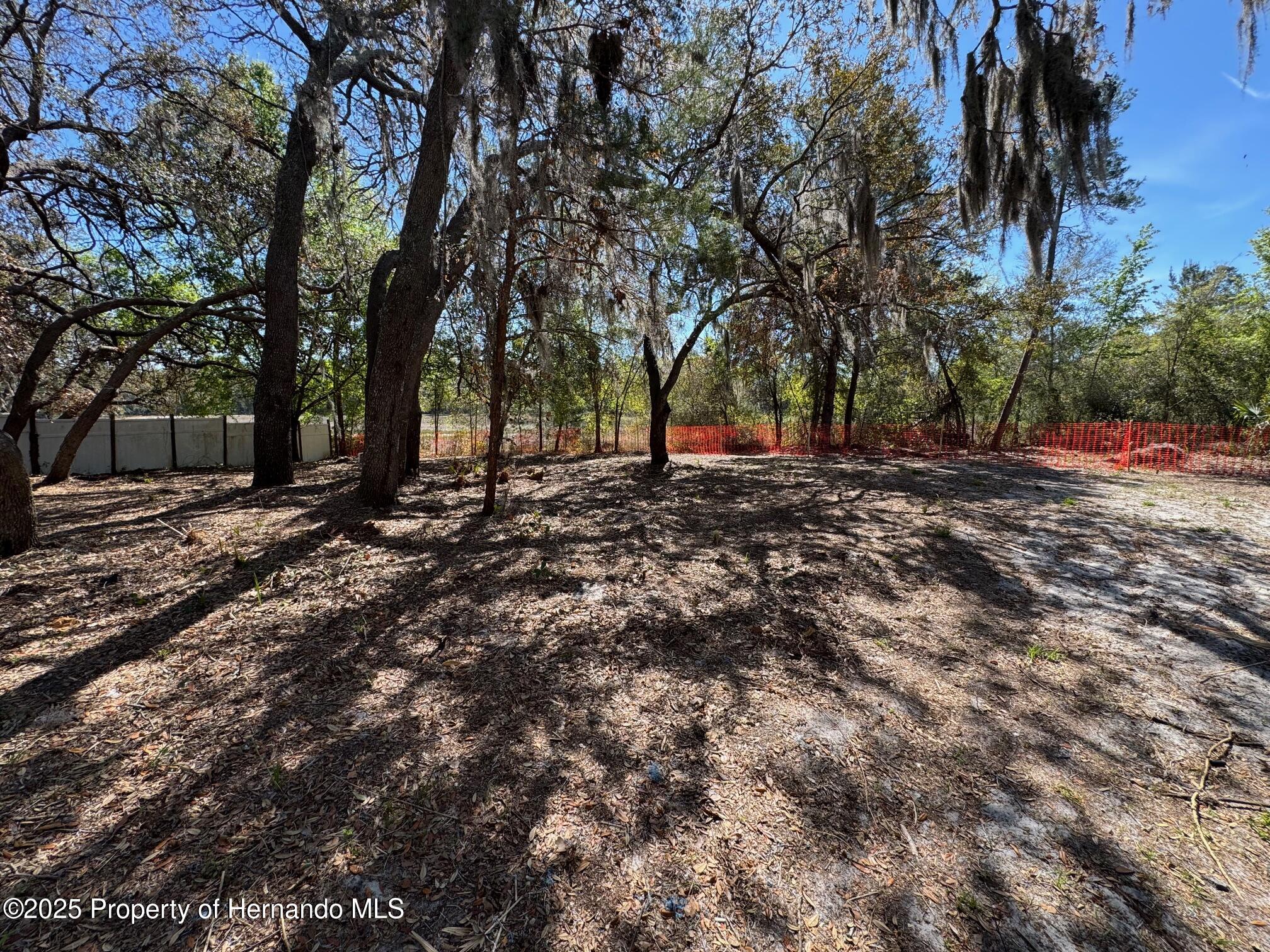 10132 Lynnhaven Road, Spring Hill, Florida image 18