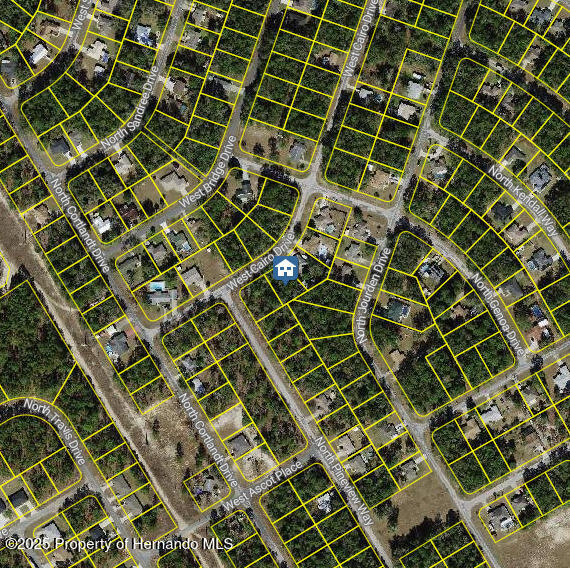 1176 W Cairo Drive, Dunnellon, Florida image 3
