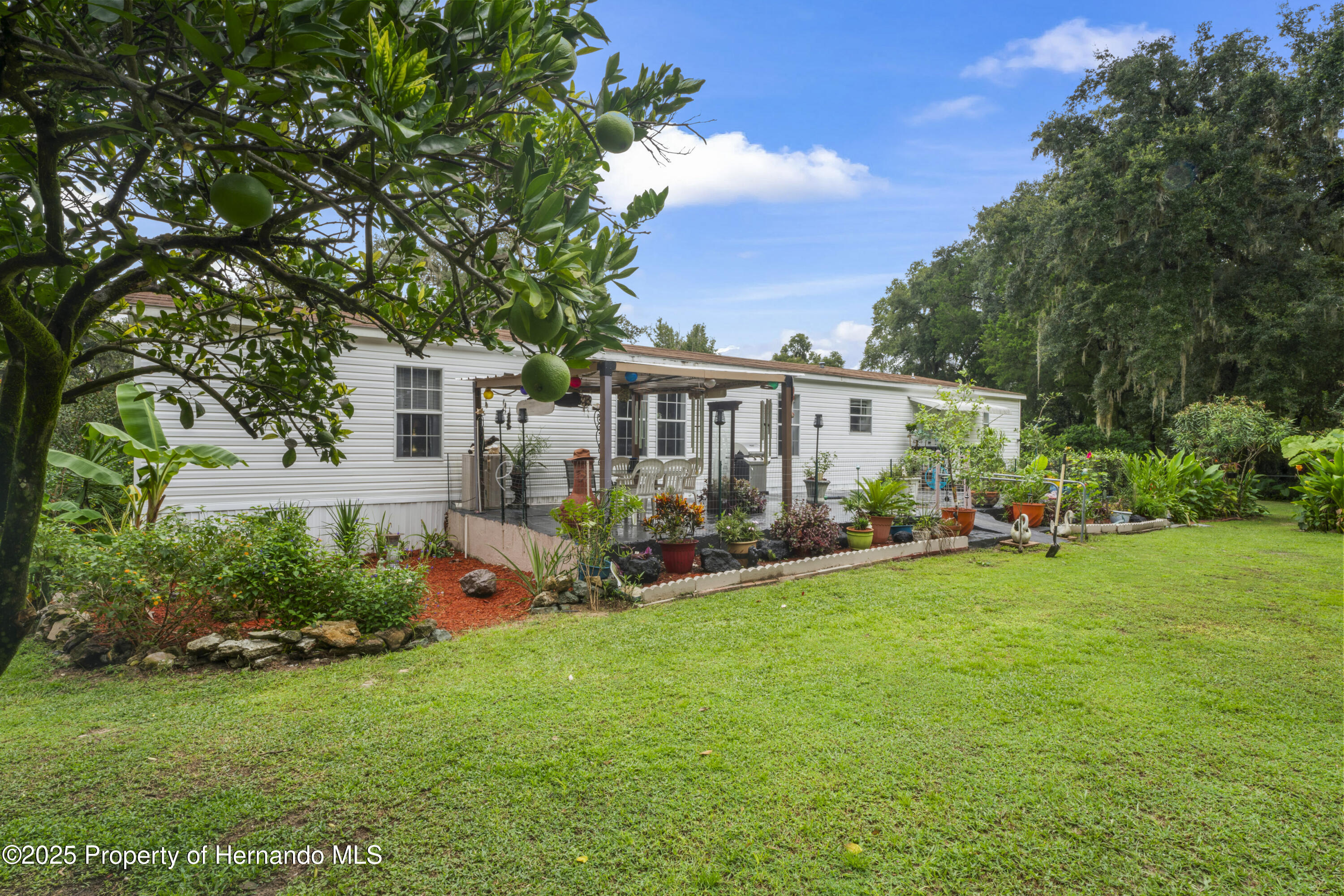 24370 Audubon Drive, Brooksville, Florida image 47