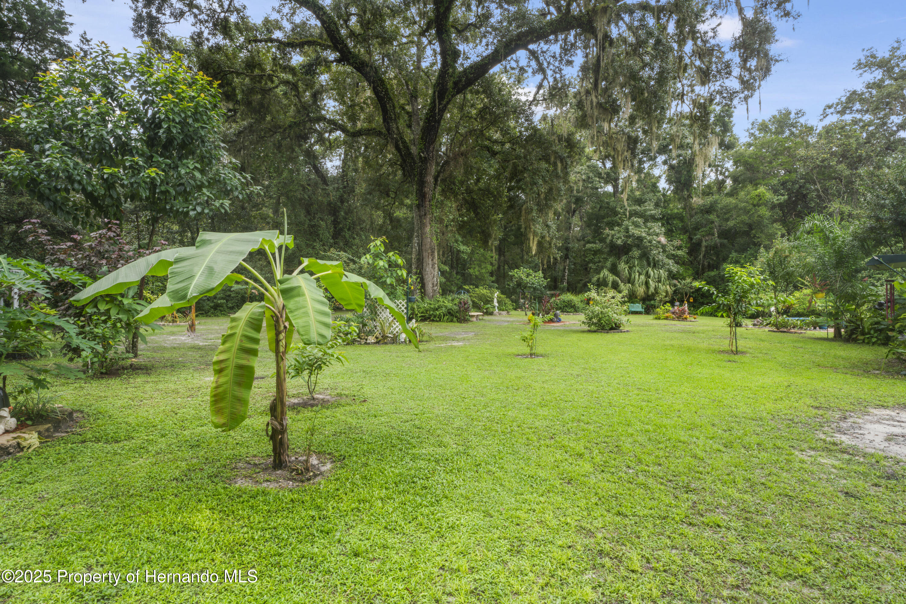 24370 Audubon Drive, Brooksville, Florida image 50