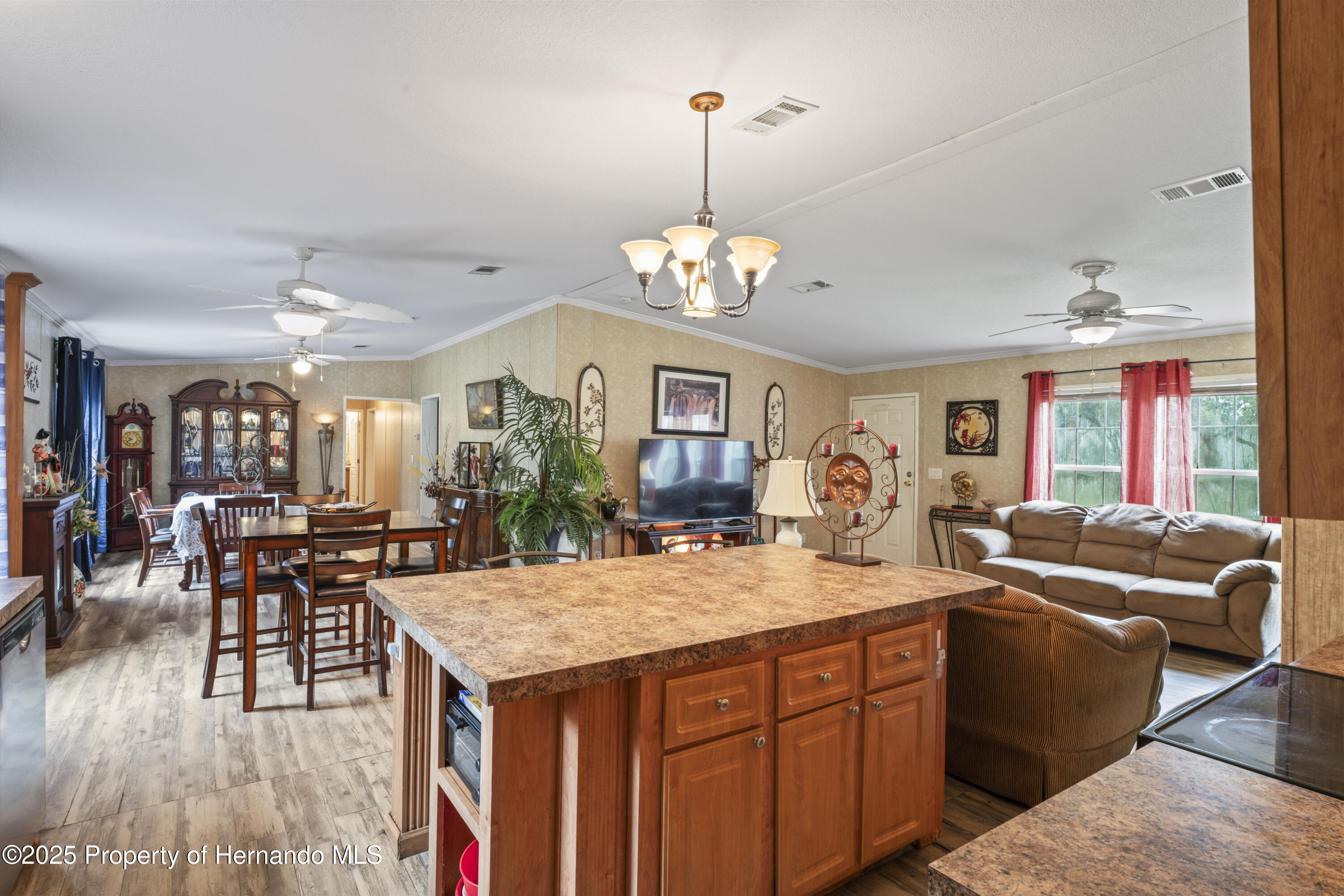 24370 Audubon Drive, Brooksville, Florida image 19