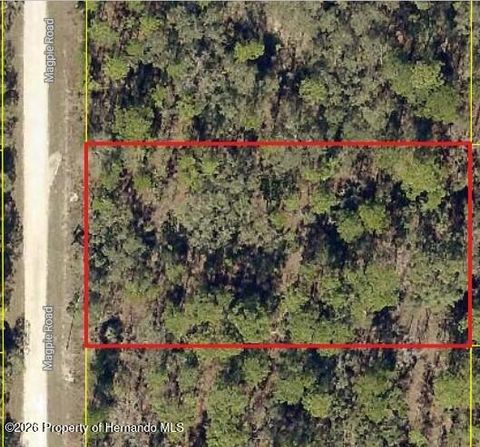 Vacant Land For Sale - 16026 Magpie Road<br/> Brooksville, FL 34614