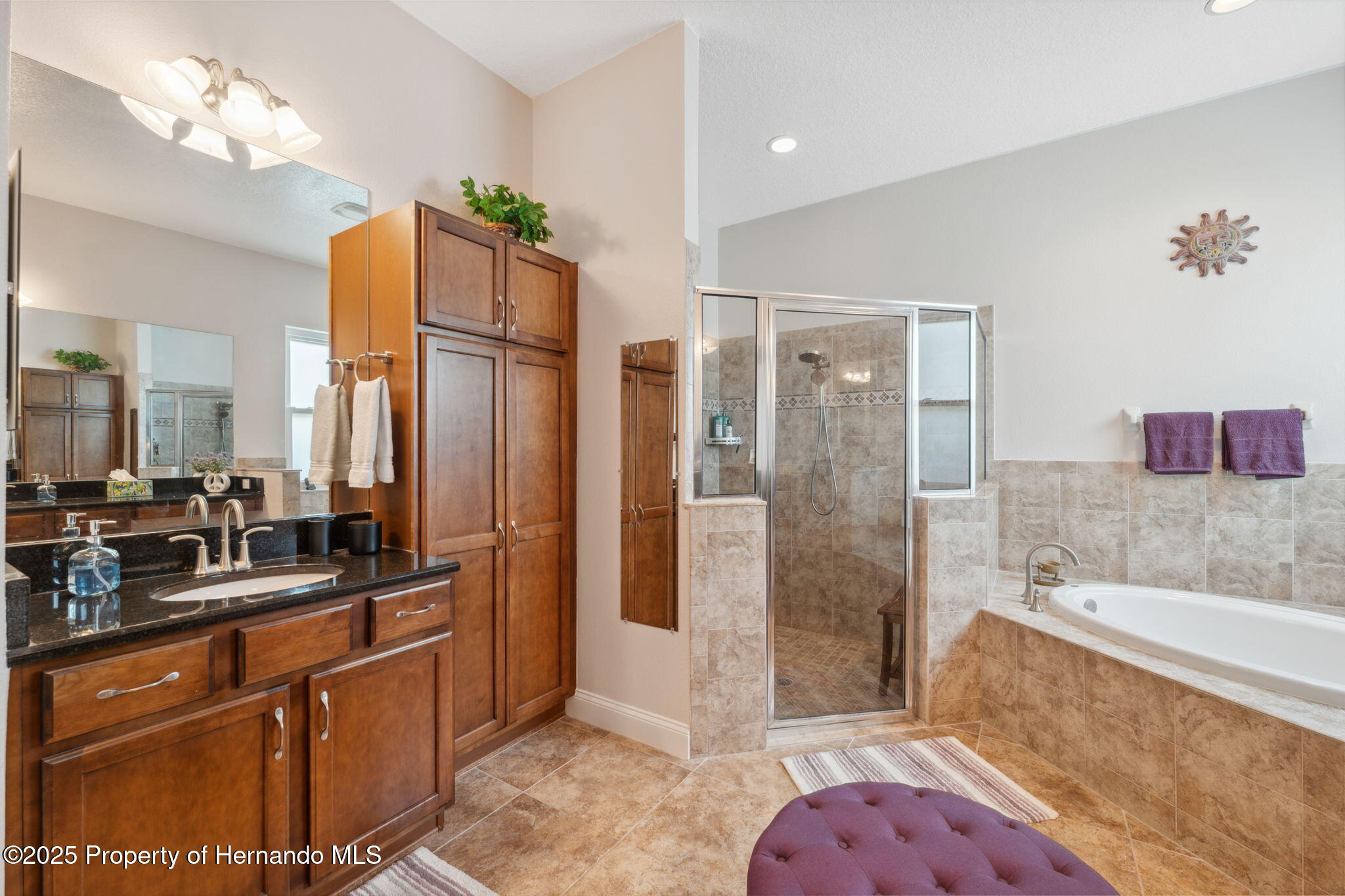 3243 Stonegate Falls Drive, LAND O LAKES, Florida image 32