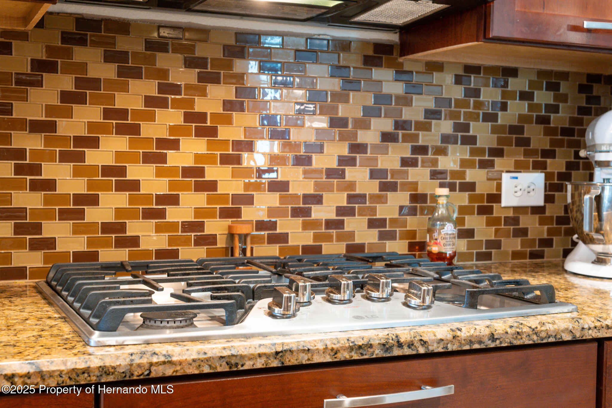 3243 Stonegate Falls Drive, LAND O LAKES, Florida image 25