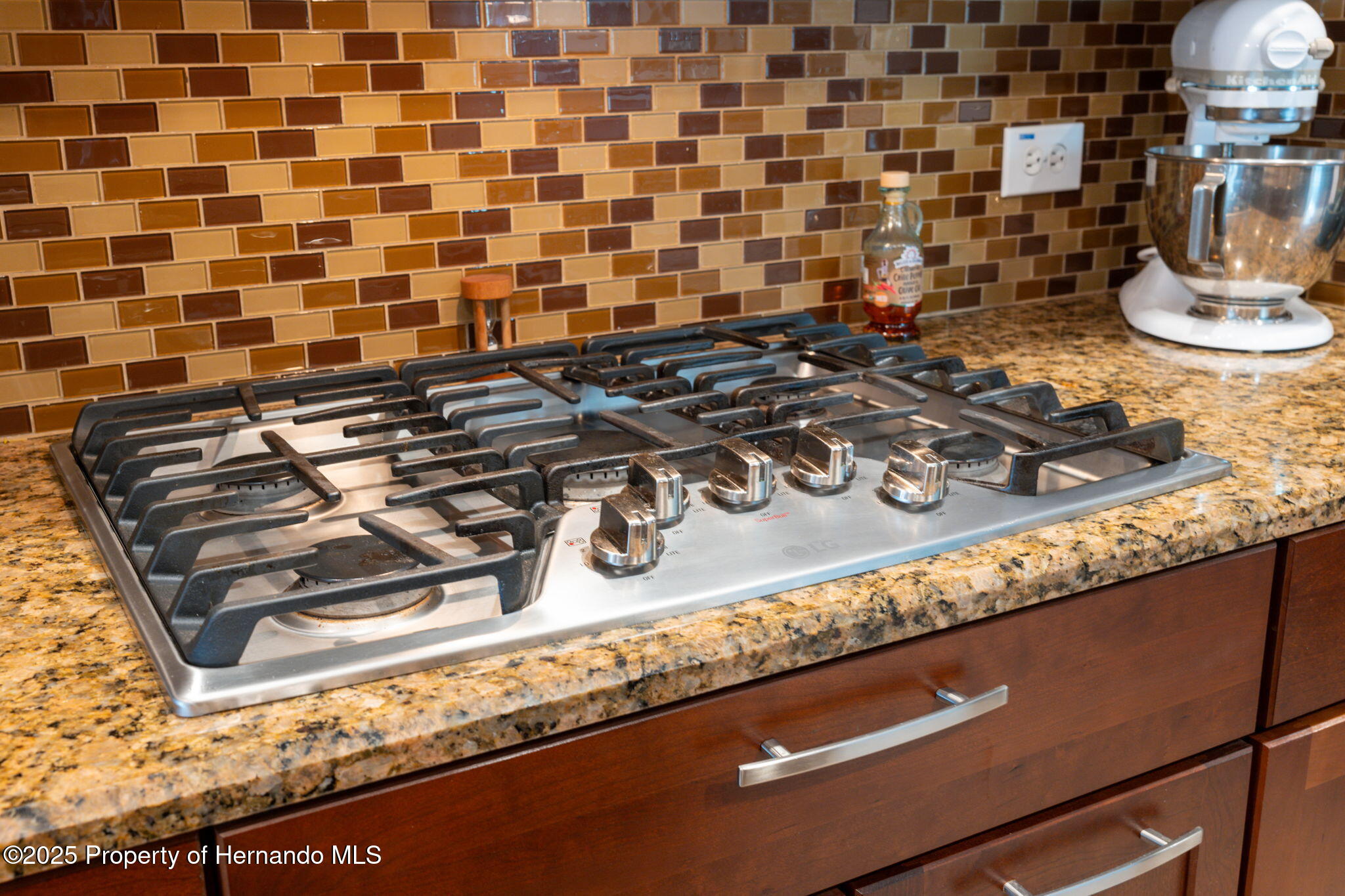3243 Stonegate Falls Drive, LAND O LAKES, Florida image 24