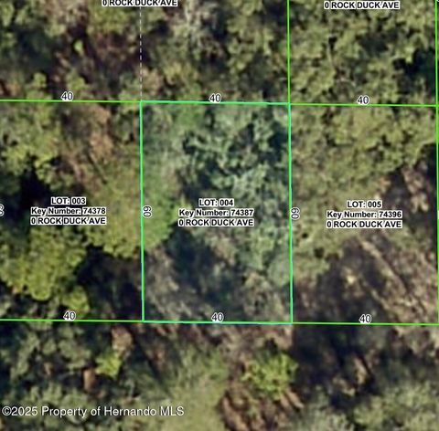 Vacant Land For Sale - Rock Duck<br/> Weeki Wachee, FL 34614