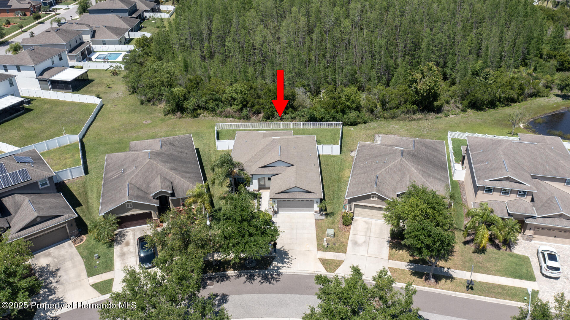3593 Gerrads Cross Court, LAND O LAKES, Florida image 3
