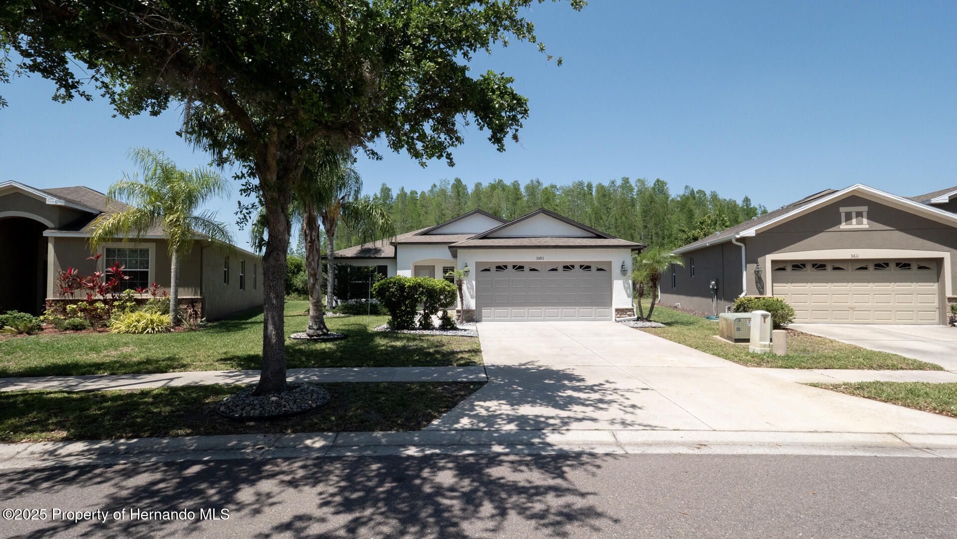 3593 Gerrads Cross Court, LAND O LAKES, Florida image 1