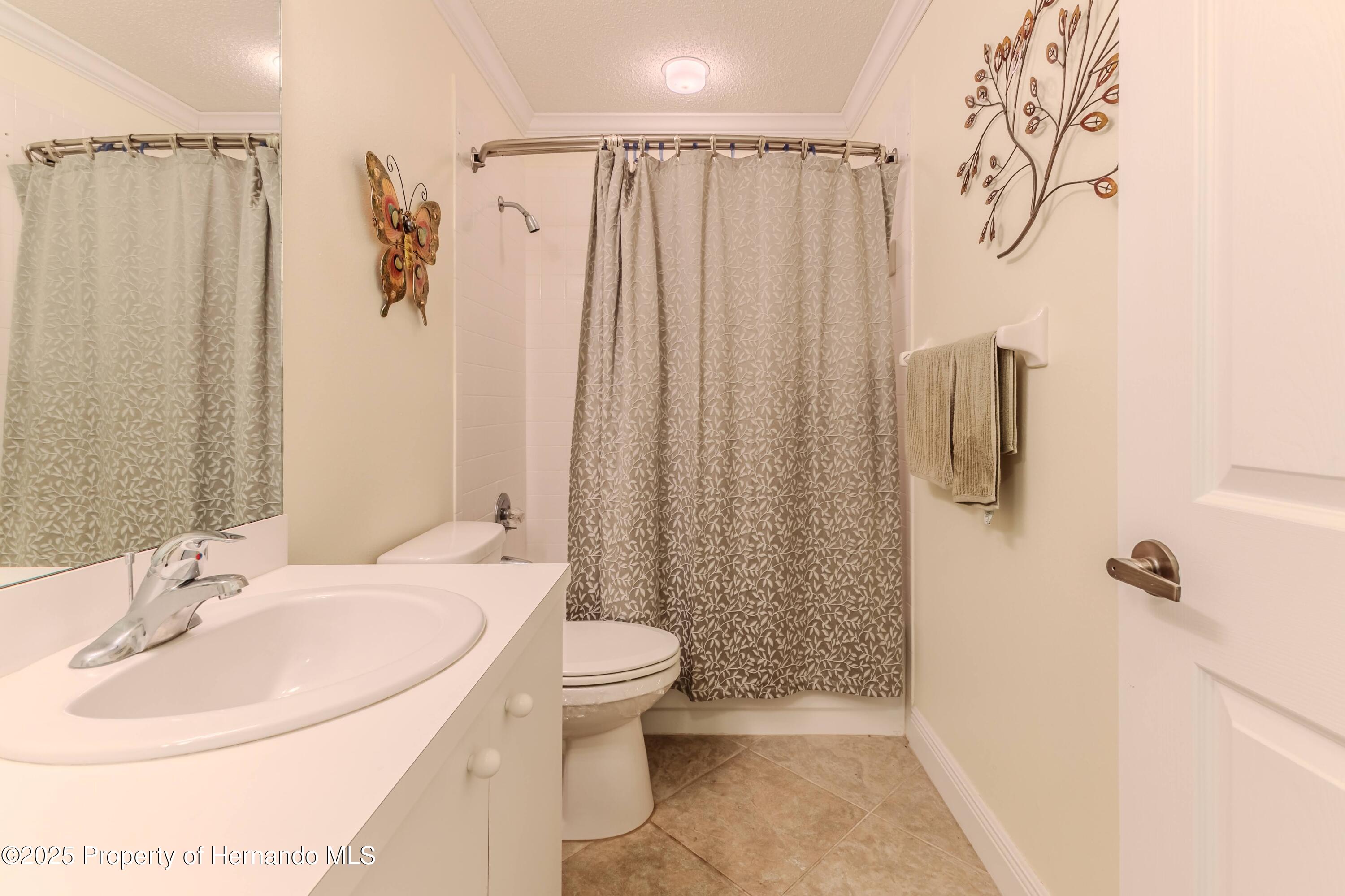2481 Whispering Pines Court, Spring Hill, Florida image 37