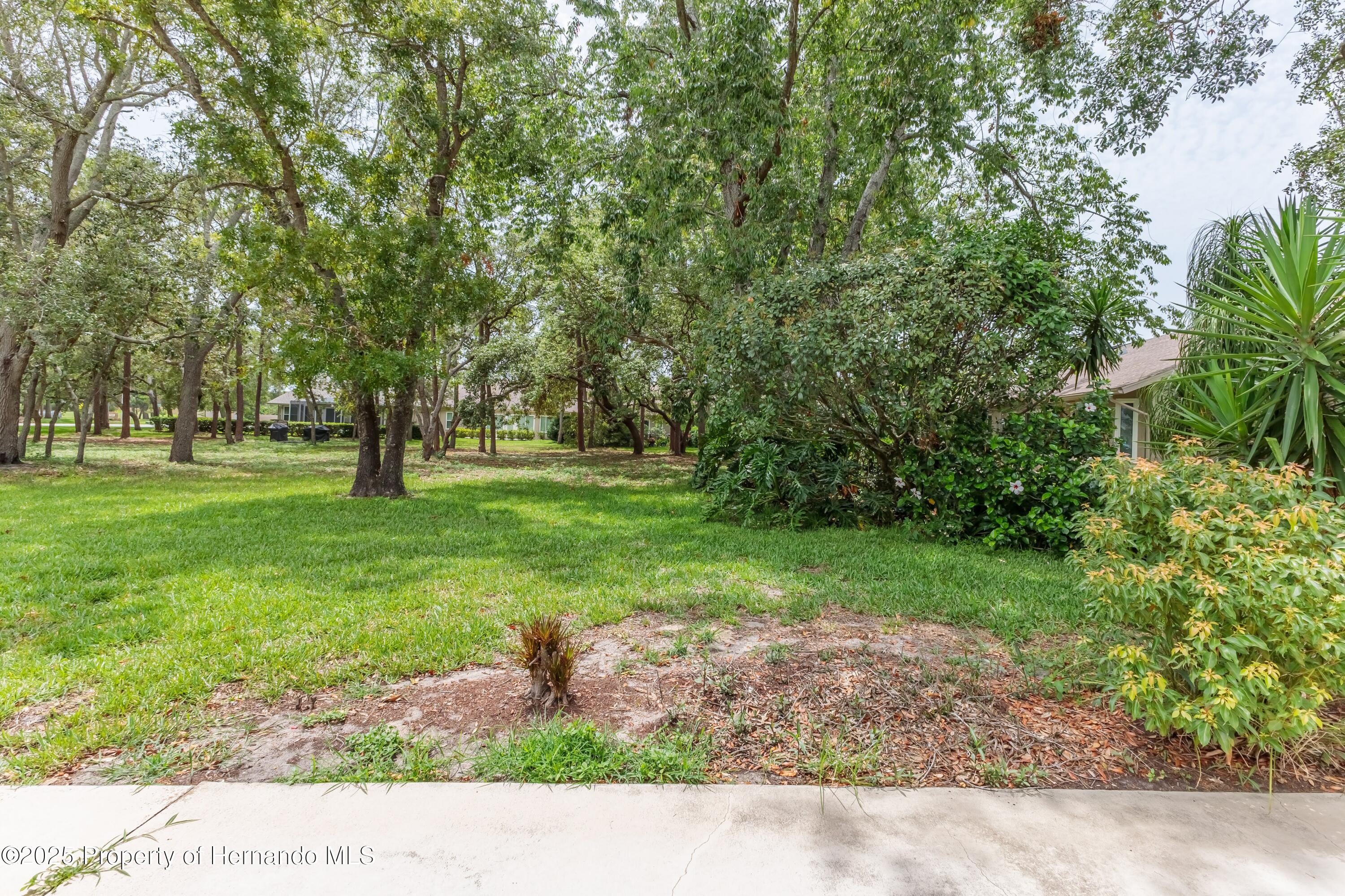 2481 Whispering Pines Court, Spring Hill, Florida image 45