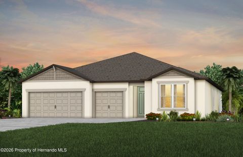 Homes For Sale - 3788 Obsidian Drive<br/> Spring Hill, FL 34609