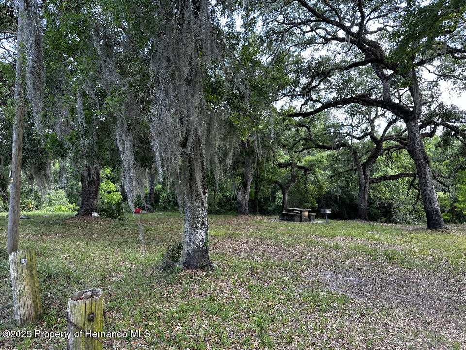 3205 Park Drive, Dade City, Florida image 11