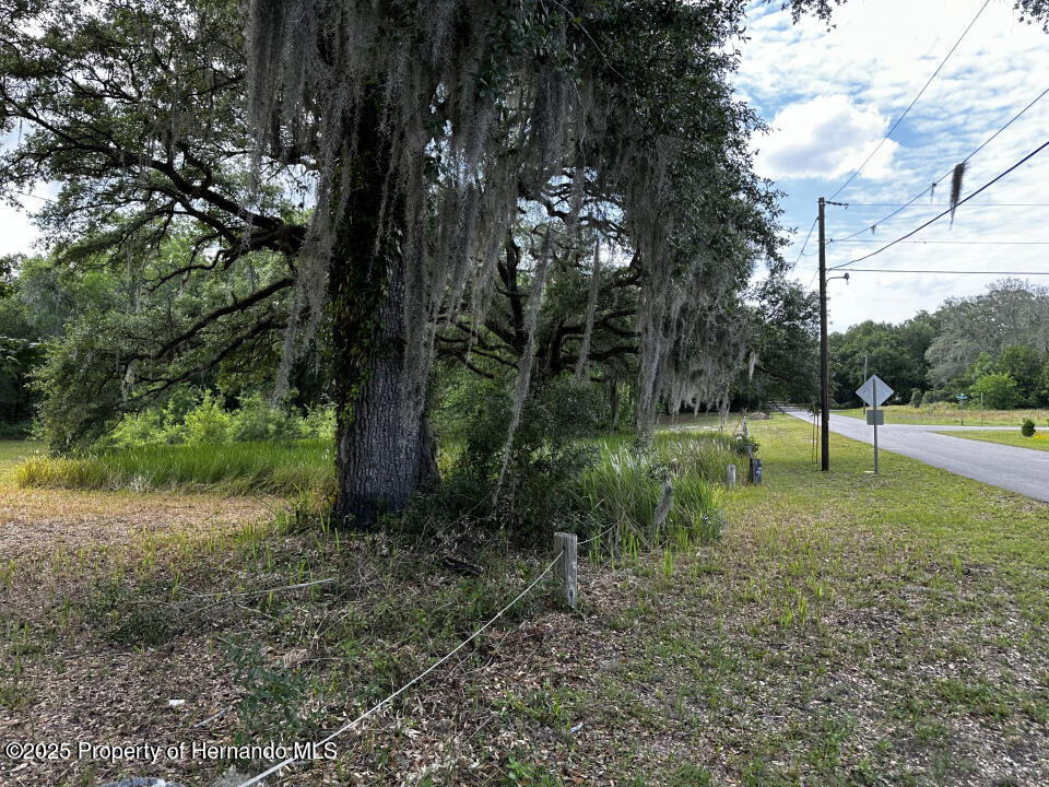 3205 Park Drive, Dade City, Florida image 16