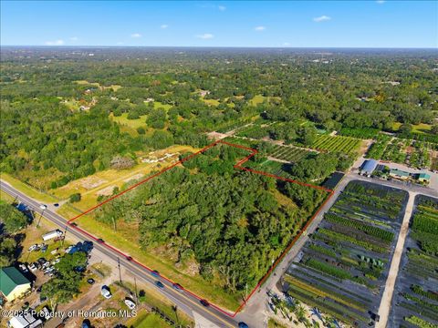 Vacant Land For Sale - County Line Road<br/> Spring Hill, FL 34608
