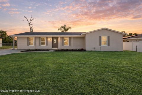 Homes For Sale - 6602 Treehaven Drive<br/> Spring Hill, FL 34606