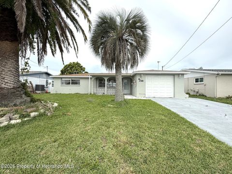Homes For Sale - 12739 3rd Isle(s)<br/> Hudson, FL 34667