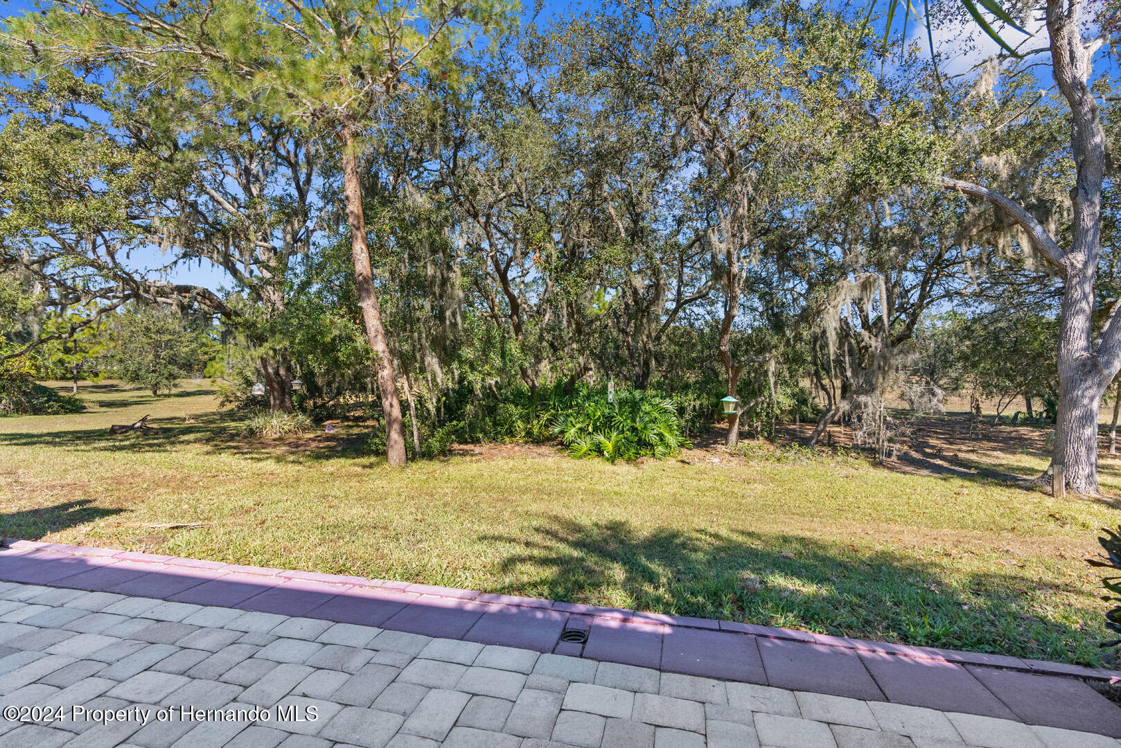 13722 Crest Lake Drive, Hudson, Florida image 27