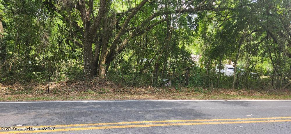Wpa Road, Brooksville, Florida image 1