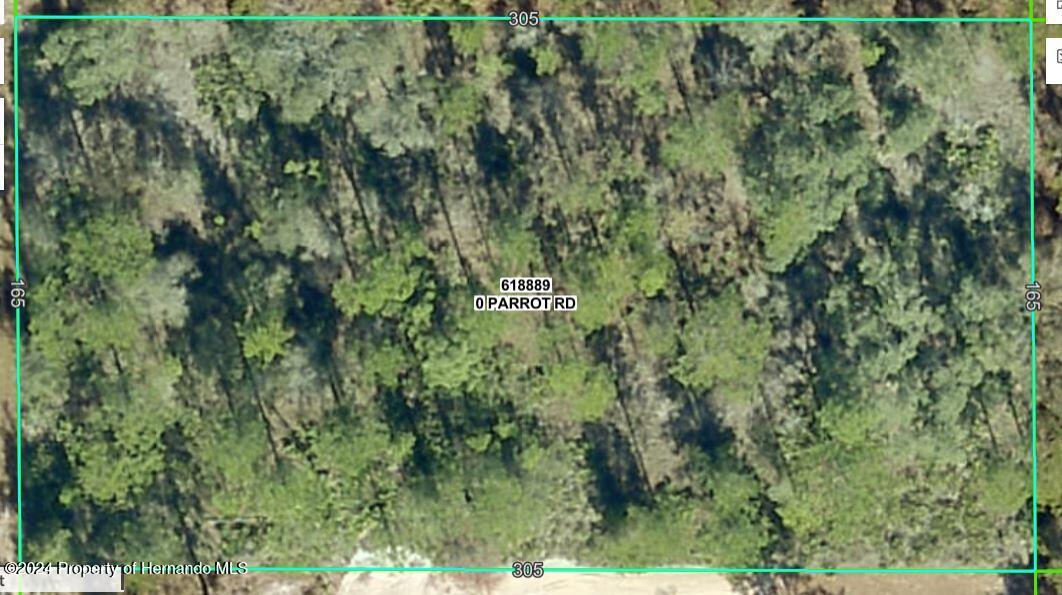 LOT 6 Parrot Road, Weeki Wachee, Florida image 1