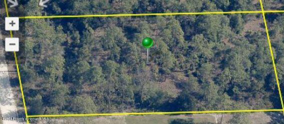 LOT 6 Parrot Road, Weeki Wachee, Florida image 2