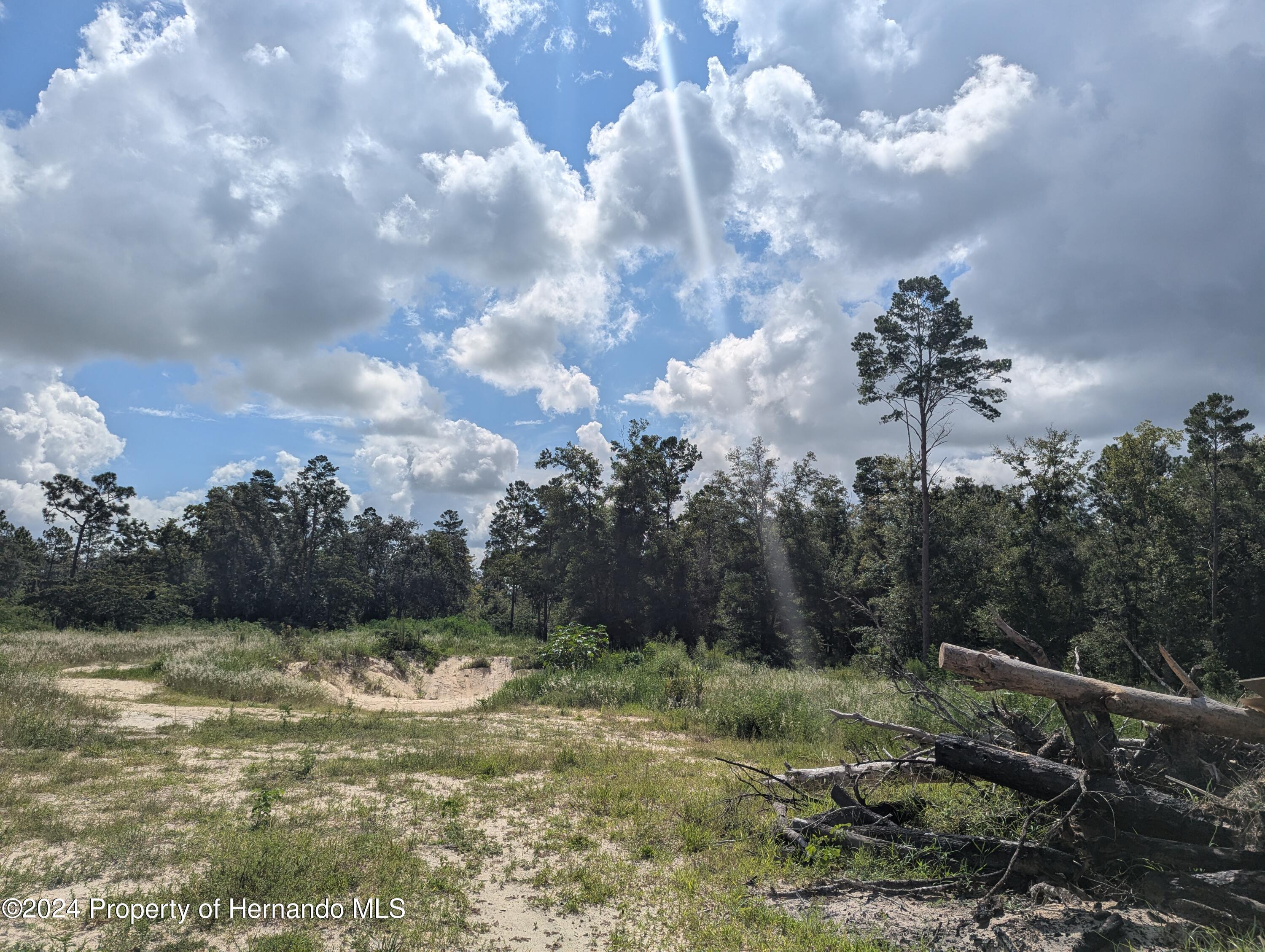 14402 Trinity Road, Brooksville, Florida image 6