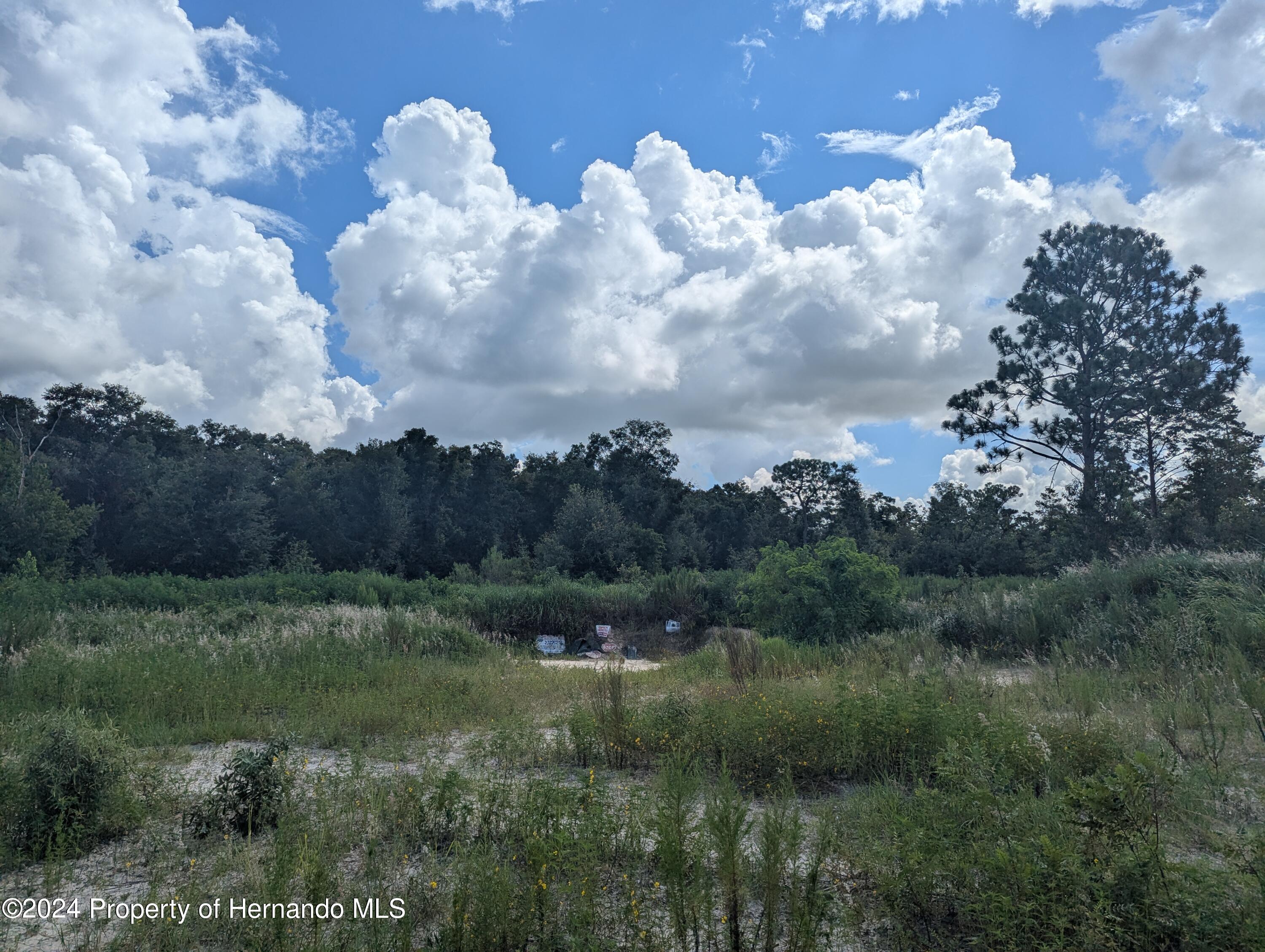 14402 Trinity Road, Brooksville, Florida image 5