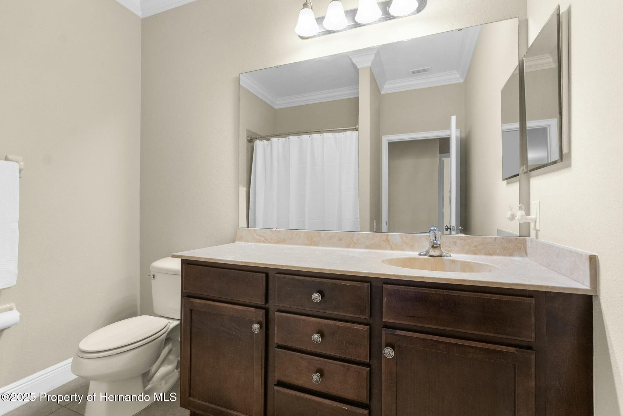 692 Challice Drive, Spring Hill, Florida image 47