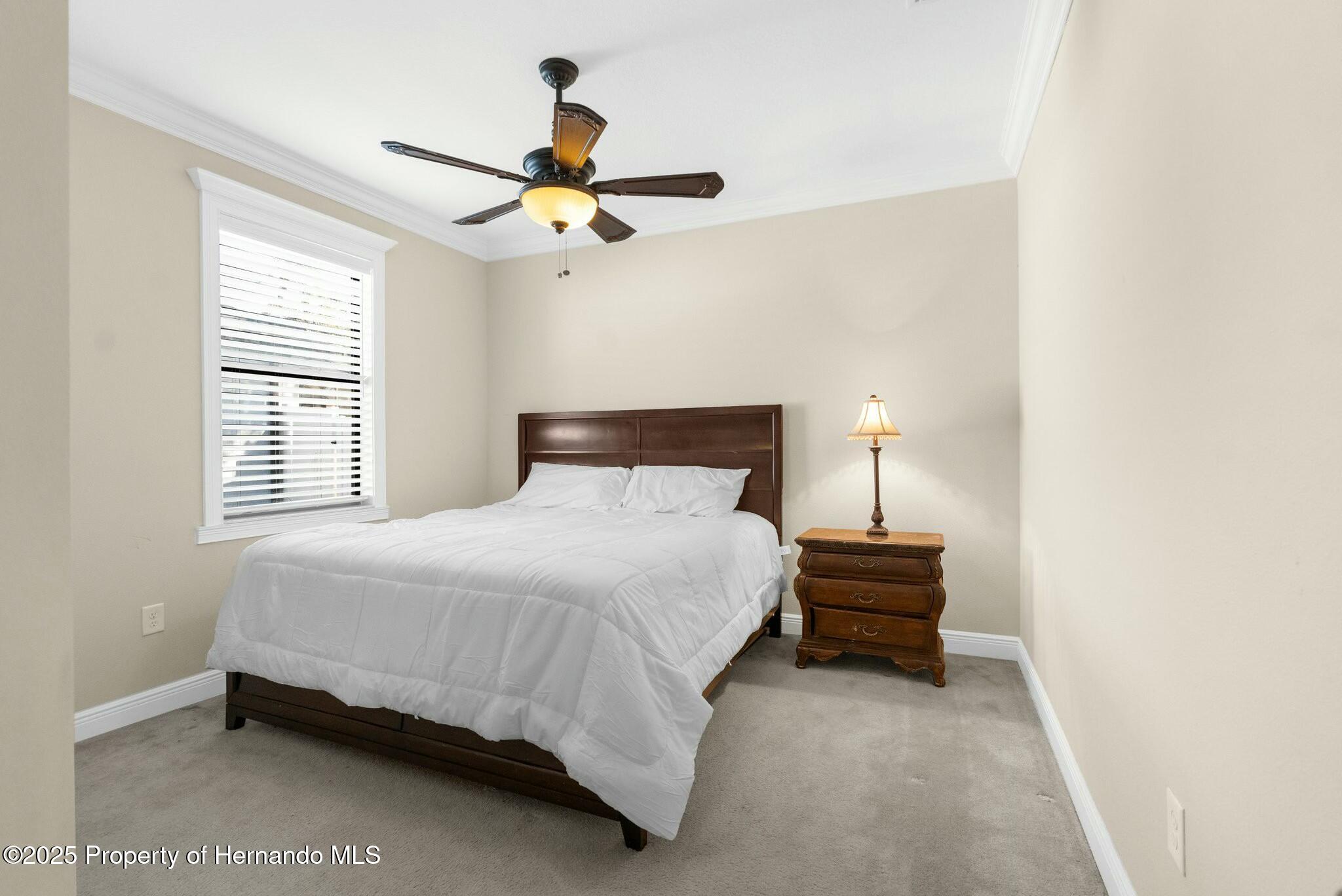 692 Challice Drive, Spring Hill, Florida image 49