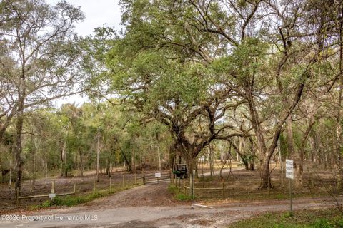 Vacant Land For Sale - 24091 Richbarn Road<br/> Brooksville, FL 34601