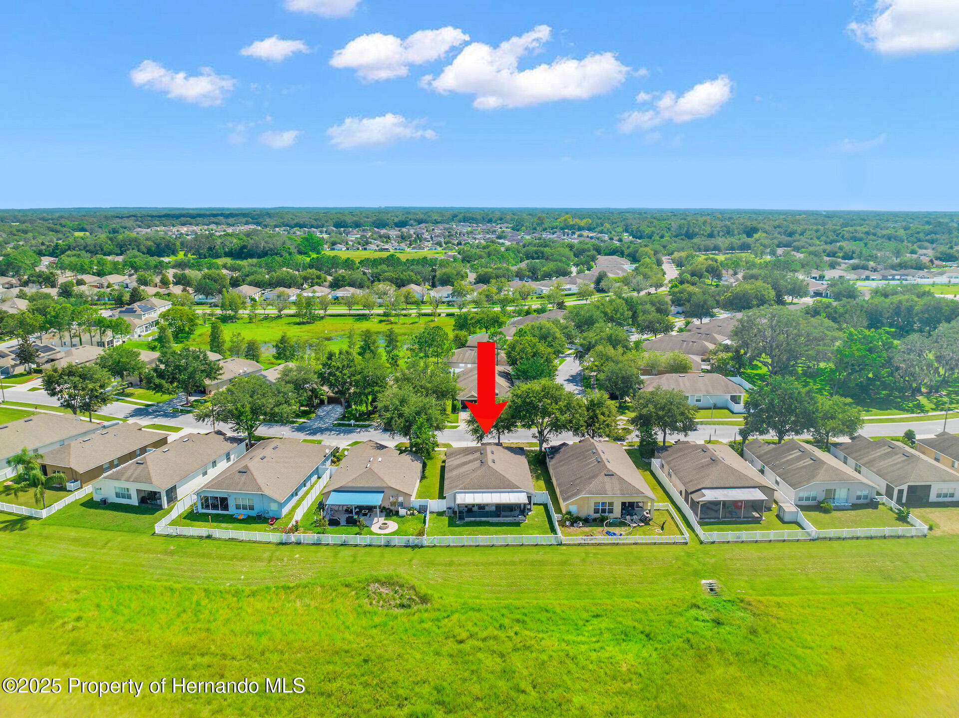 779 Nodding Shade Drive, Brooksville, Florida image 35