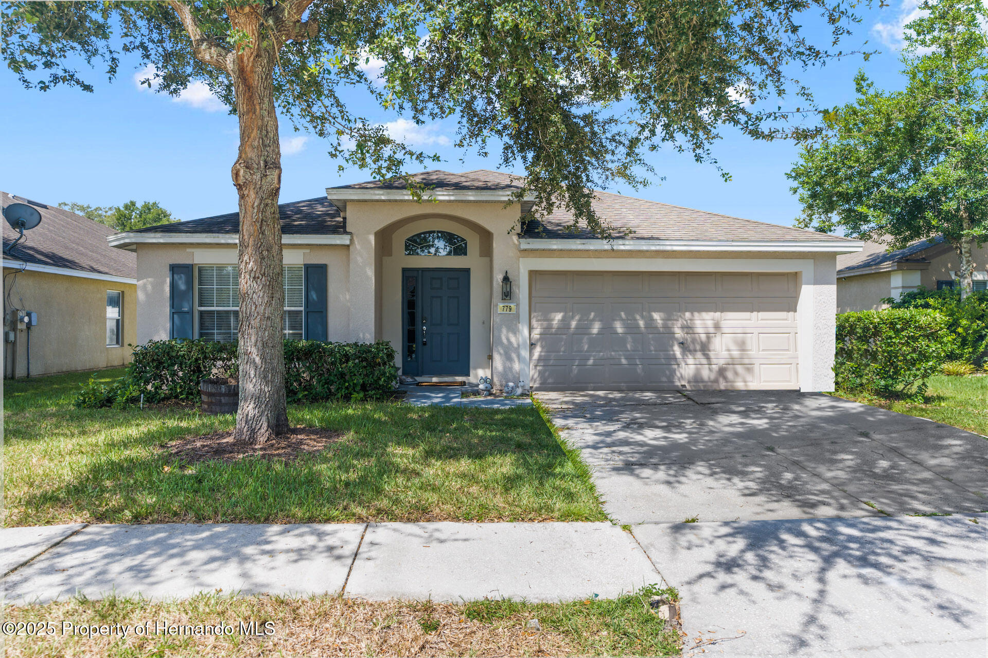 779 Nodding Shade Drive, Brooksville, Florida image 1