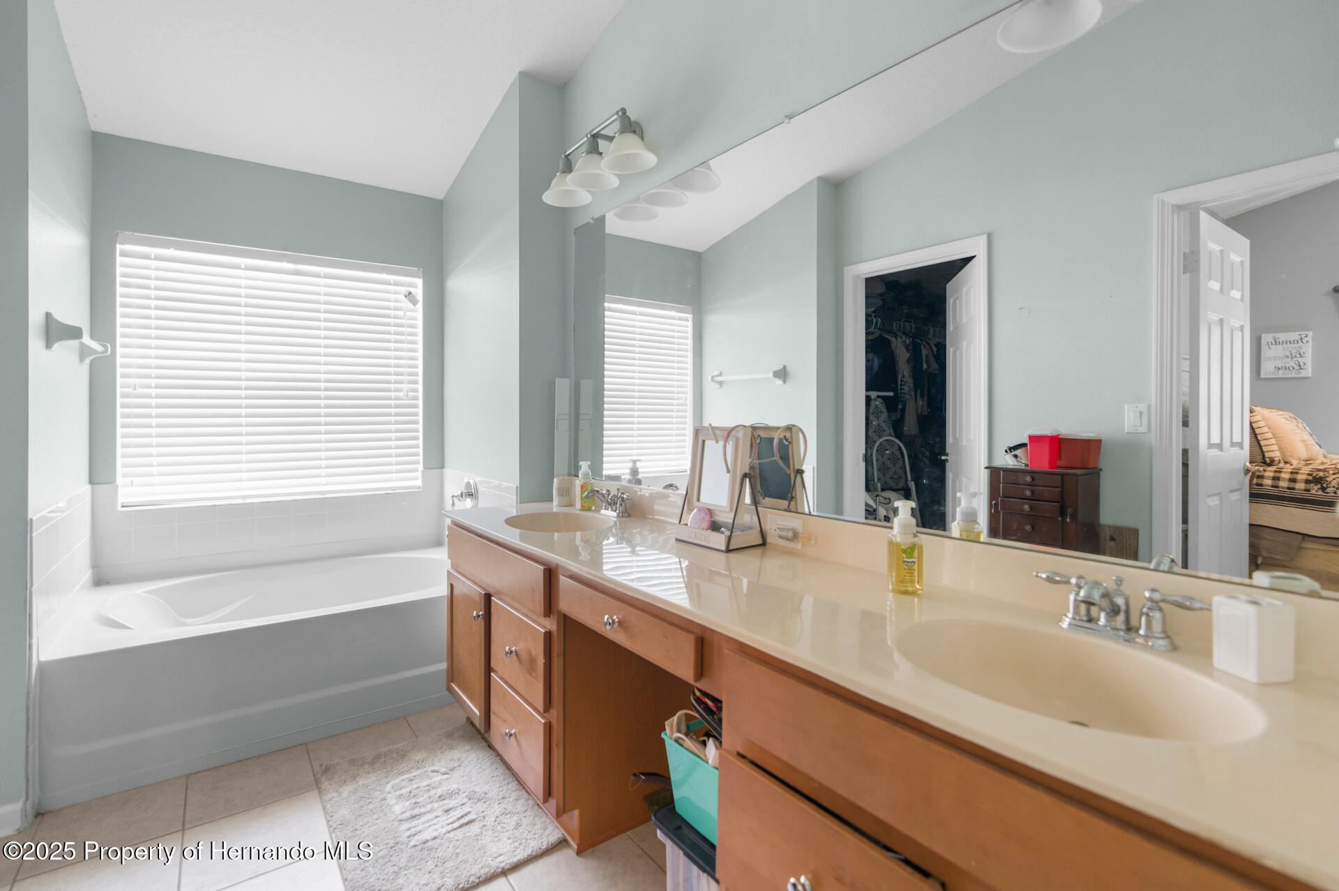 779 Nodding Shade Drive, Brooksville, Florida image 25