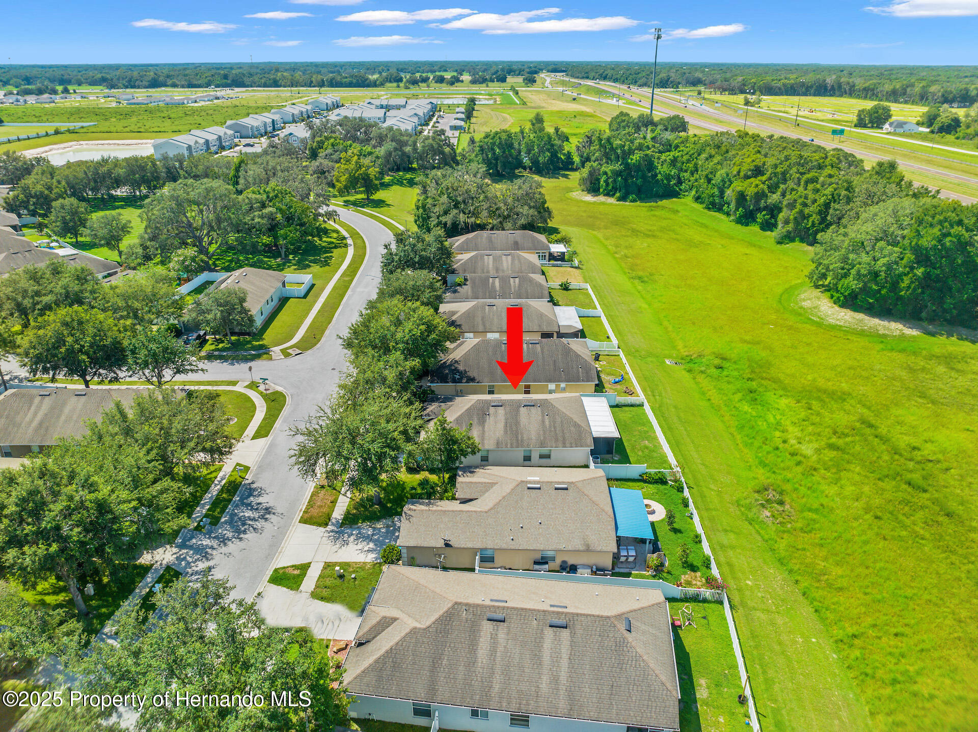 779 Nodding Shade Drive, Brooksville, Florida image 37