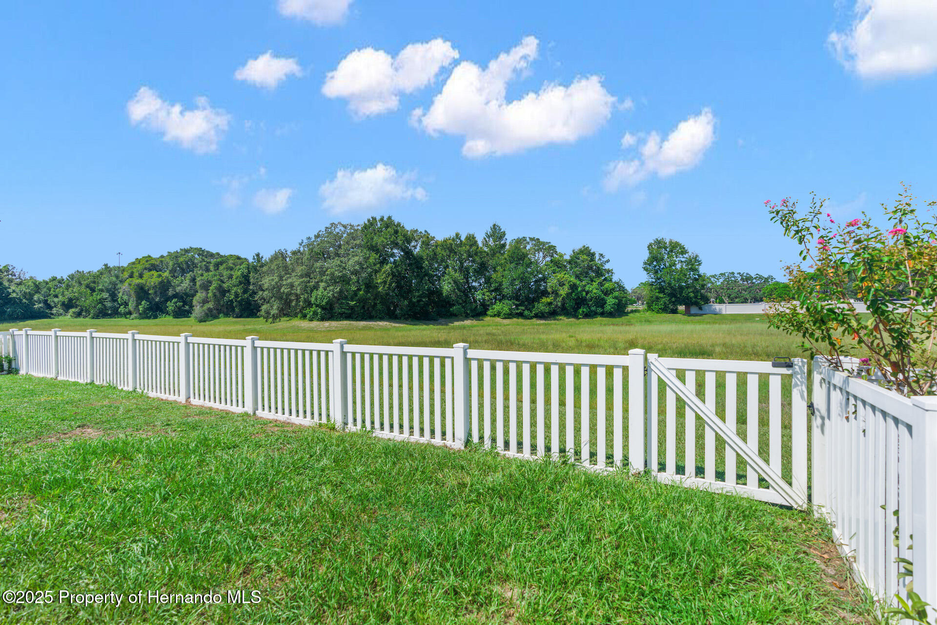 779 Nodding Shade Drive, Brooksville, Florida image 31