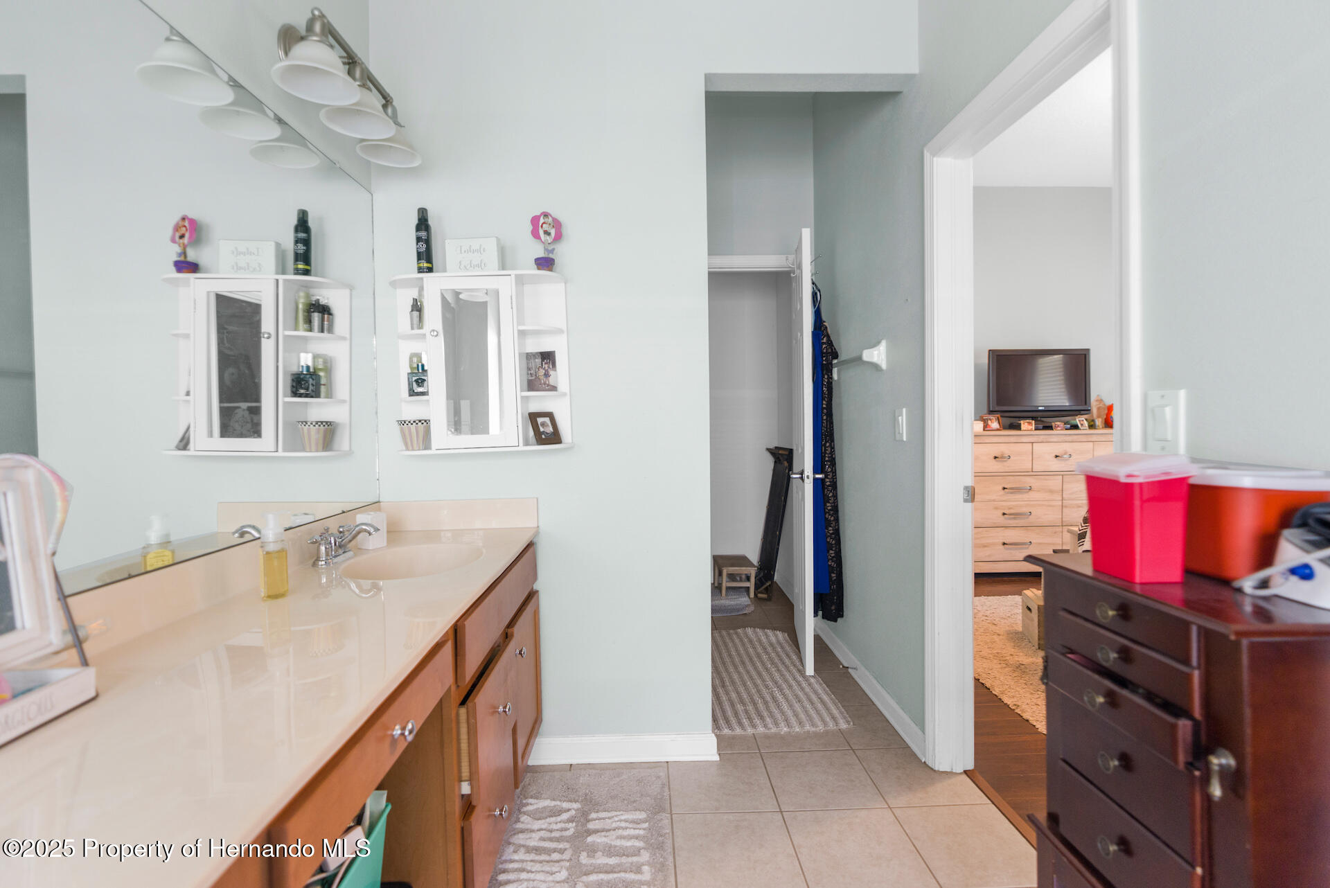 779 Nodding Shade Drive, Brooksville, Florida image 26