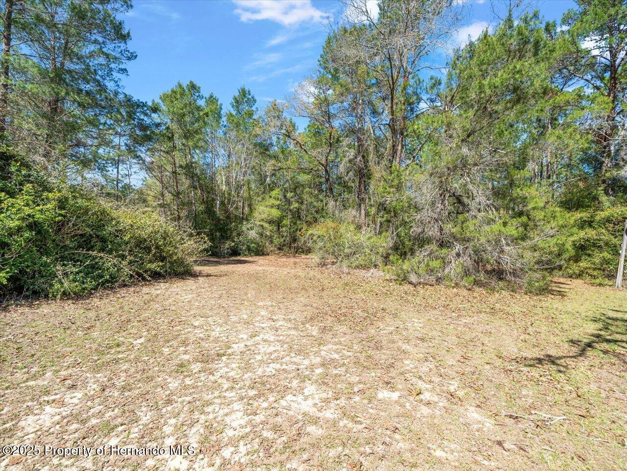 12000 S Canna Point, Floral City, Florida image 34