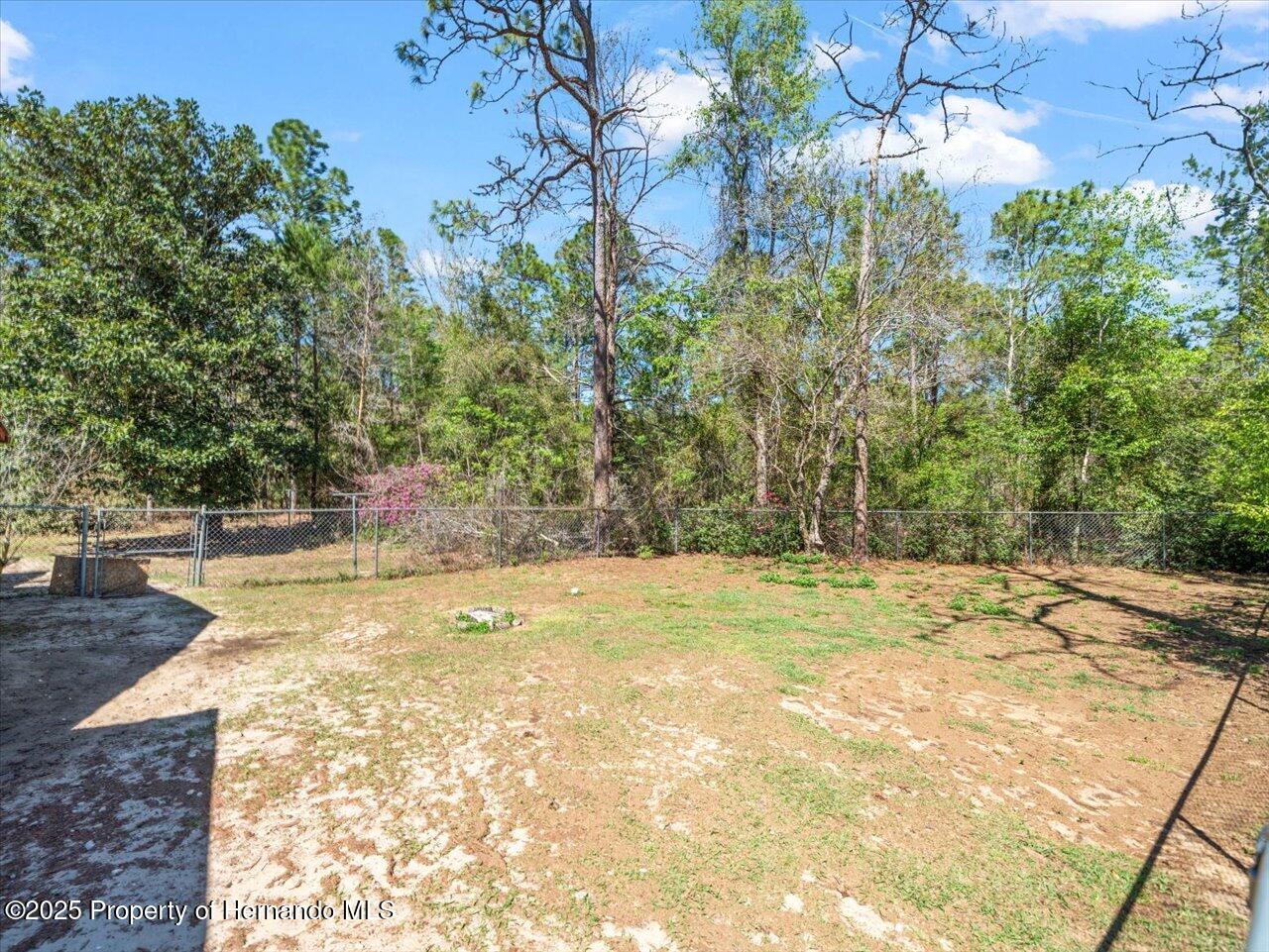12000 S Canna Point, Floral City, Florida image 35