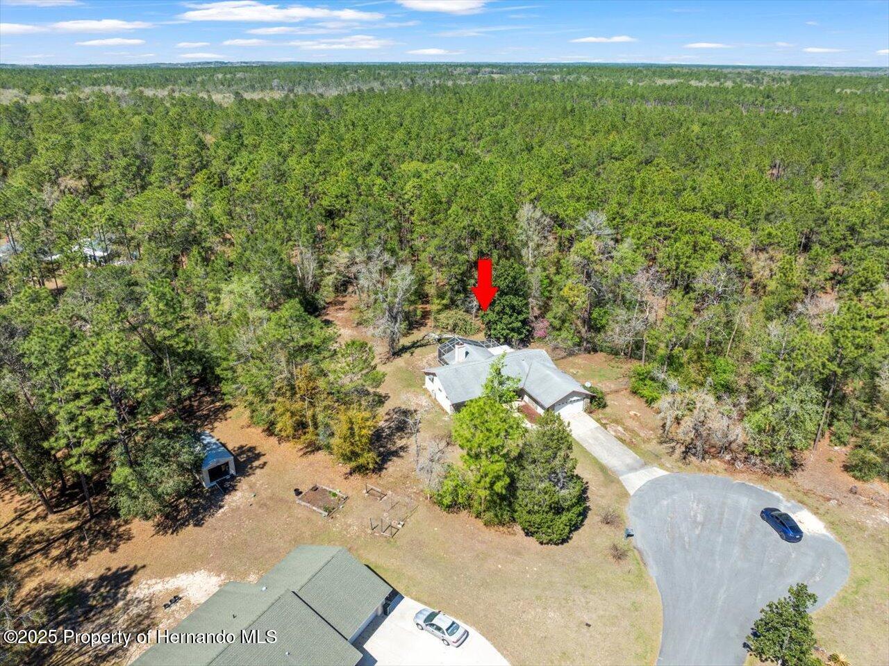 12000 S Canna Point, Floral City, Florida image 39