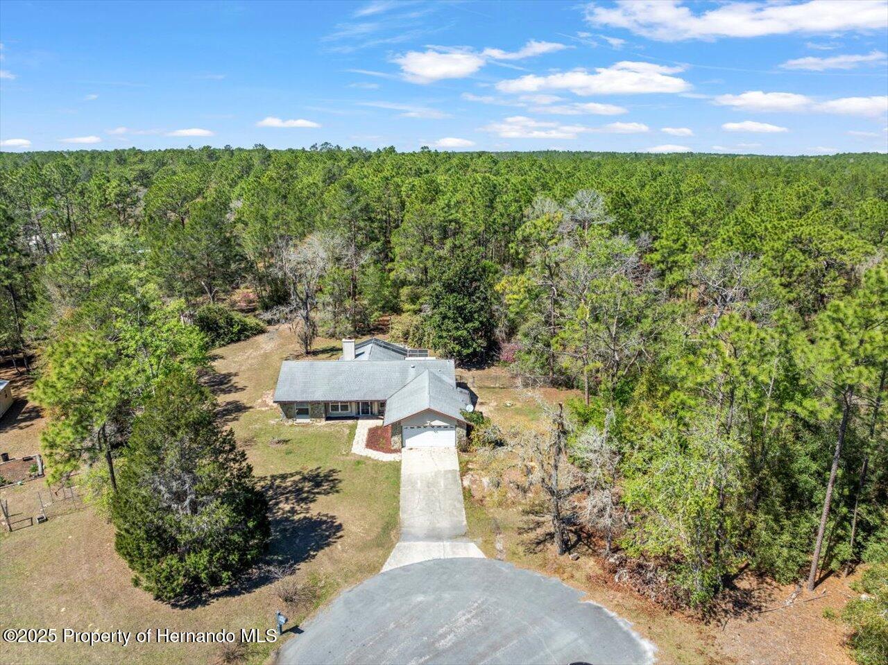 12000 S Canna Point, Floral City, Florida image 5