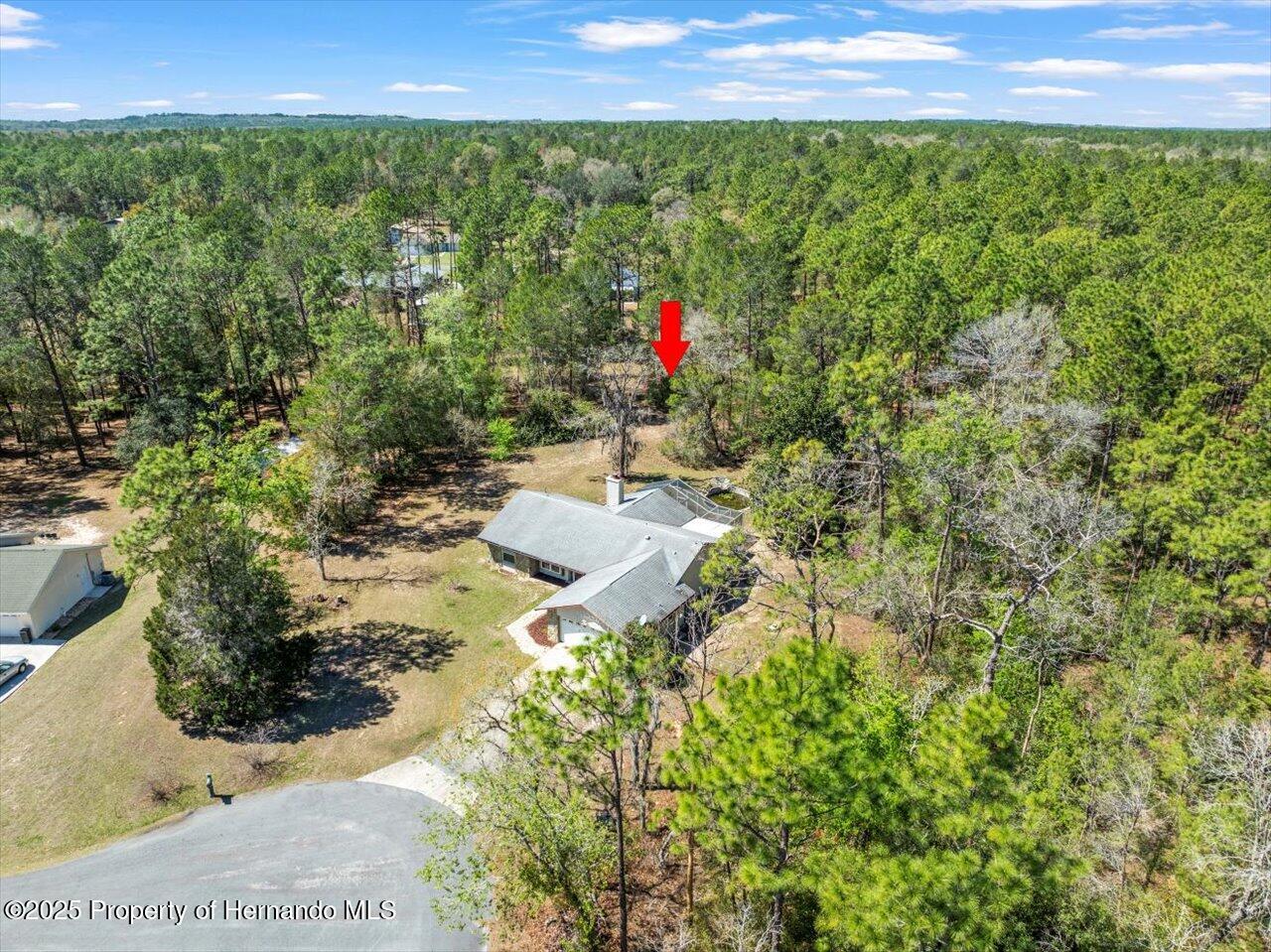 12000 S Canna Point, Floral City, Florida image 38
