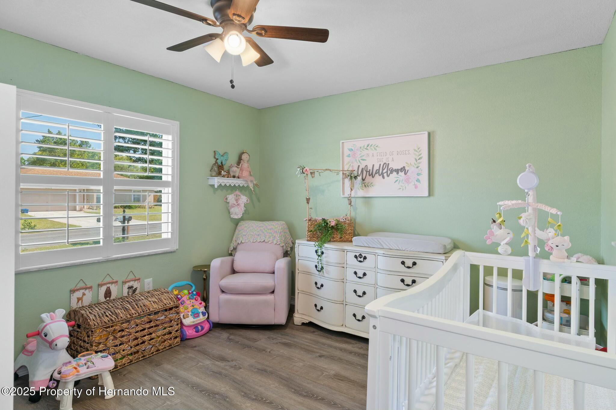 12252 Verona Street, Spring Hill, Florida image 23